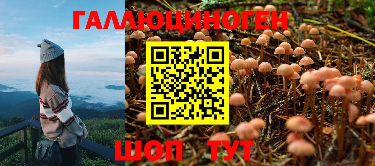 Ярославль  Галлюциногенные грибы MAGIC MUSHROOMS  Псилоцибиновые грибы Magic Shrooms  Вход с VPN 